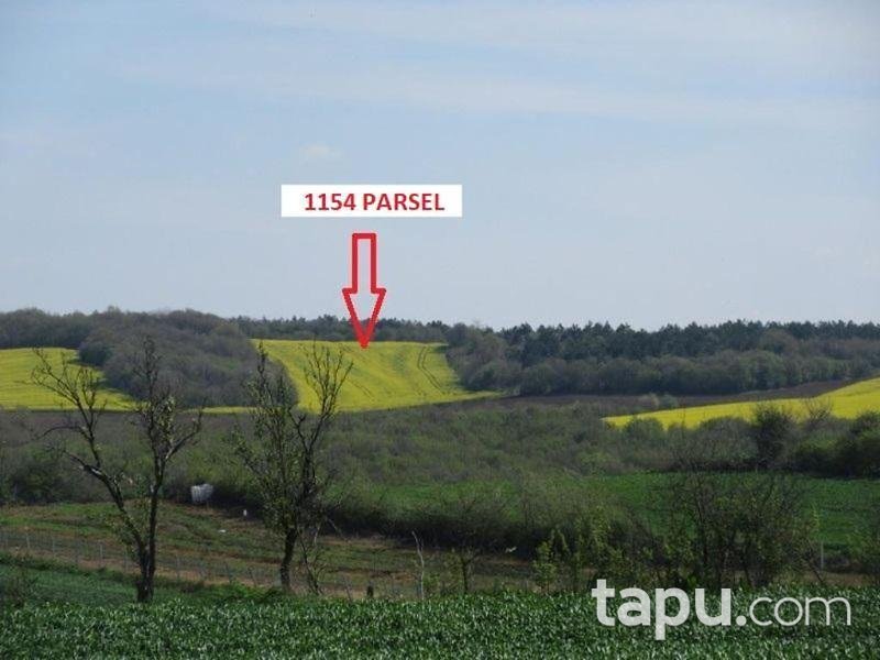 Tekirdağ Süleymanpaşa İnecik Mahallesinde 9.700 m2 Tarla