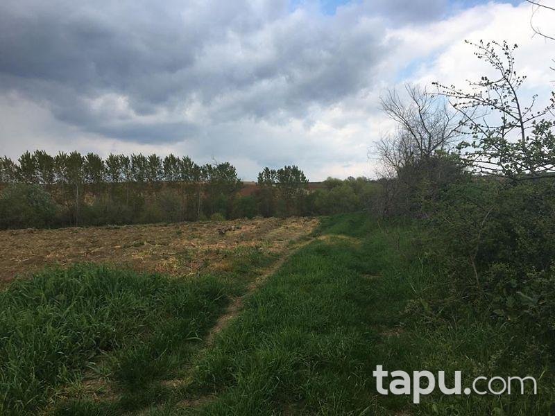 Tekirdağ Süleymanpaşa İnecik Mahallesinde 5.800 m2 Tarla