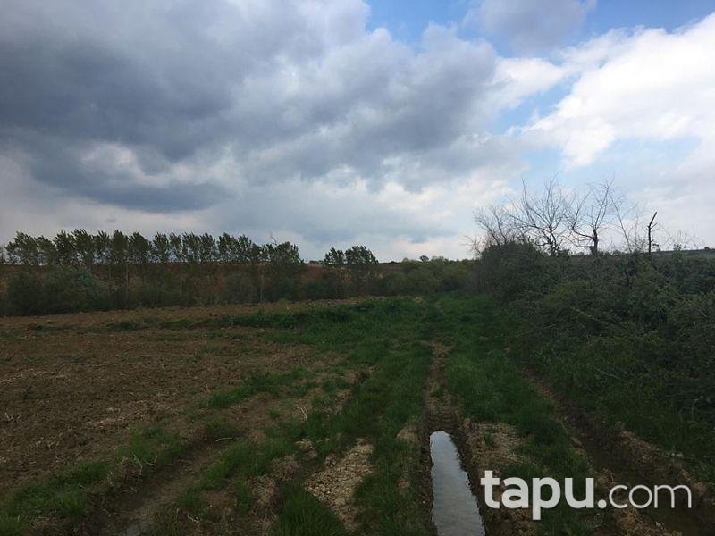 Tekirdağ Süleymanpaşa İnecik Mahallesinde 5.800 m2 Tarla