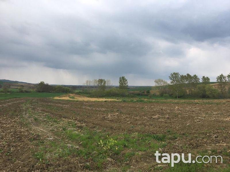 Tekirdağ Süleymanpaşa İnecik Mahallesinde 5.800 m2 Tarla