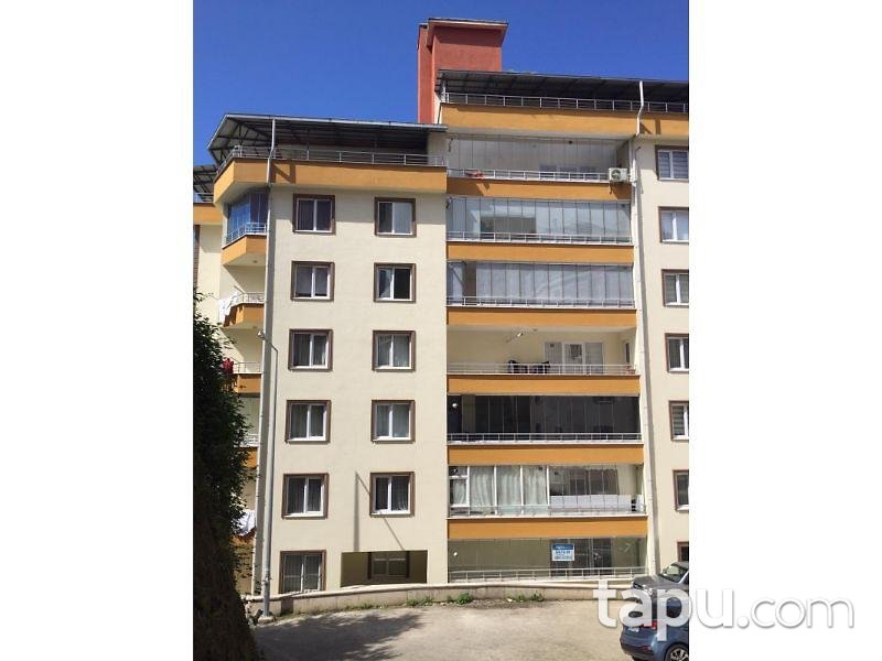 Giresun Merkez Gemilerçekeği Mahallesinde 3+1 156 m2 Daire