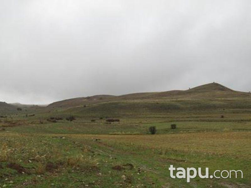 Tunceli Mazgirt İsmailli Köyünde 21 Dönüm Tarla