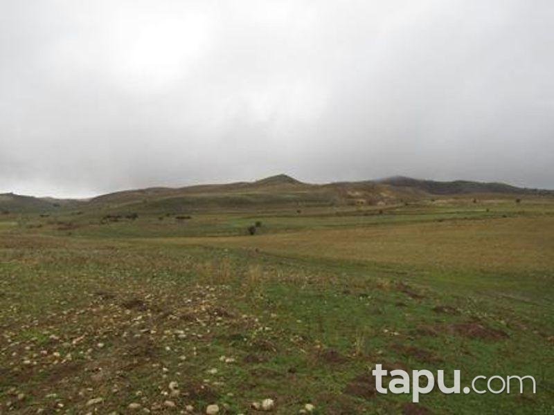 Tunceli Mazgirt İsmailli Köyünde 21 Dönüm Tarla