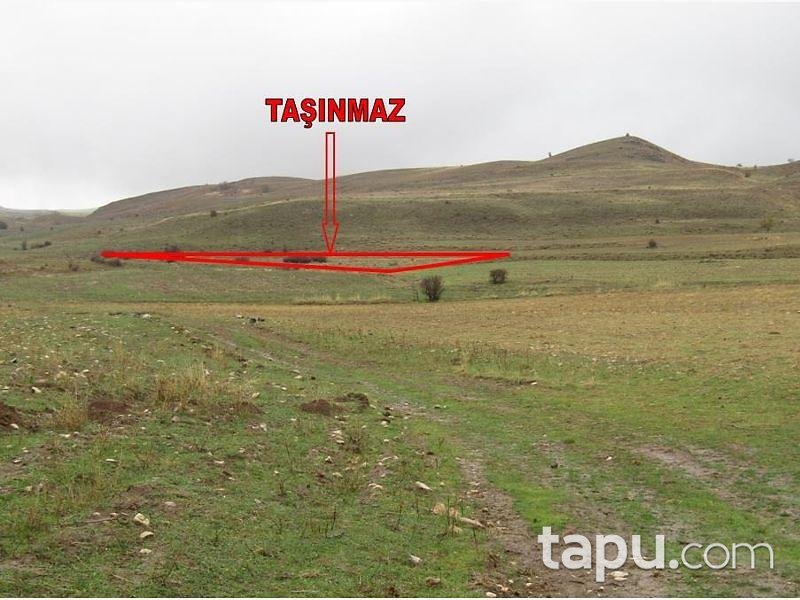 Tunceli Mazgirt İsmailli Köyünde 21 Dönüm Tarla