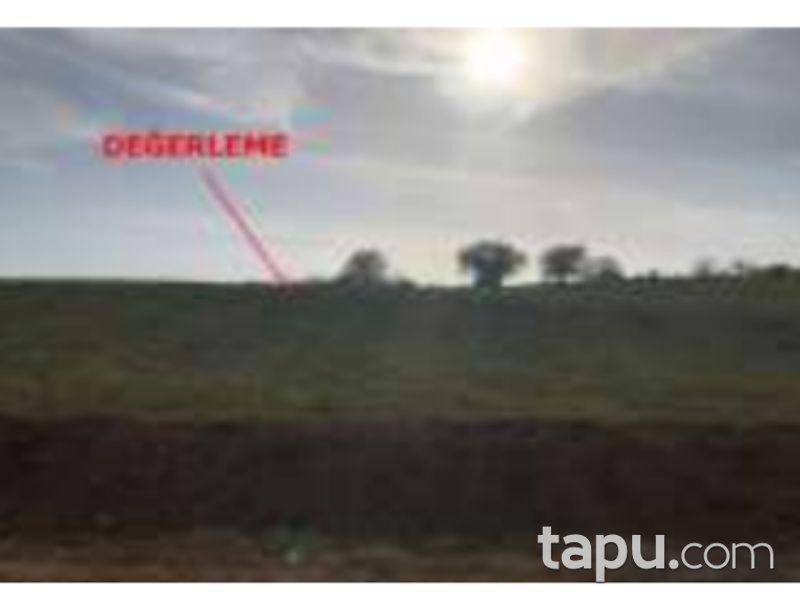 Manisa Demirci Marmaracık Mahallesinde 27 Dönüm Tarla