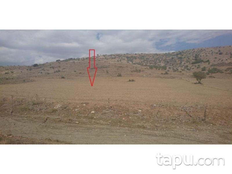 Burdur Çavdır Dengere Mahallesinde 6820 m2 Tarla