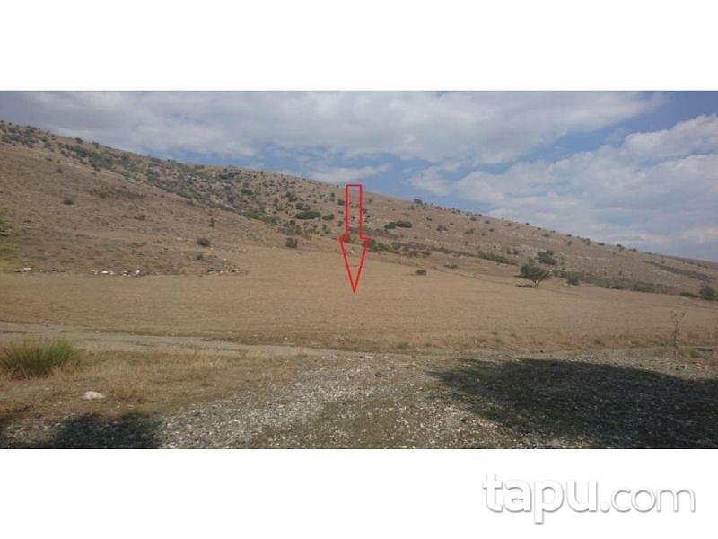 Burdur Çavdır Dengere Mahallesinde 6820 m2 Tarla