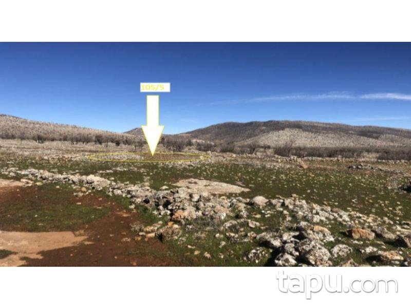 Mardin Dargeçit Alayurt'ta 5.901 m2 Tarla