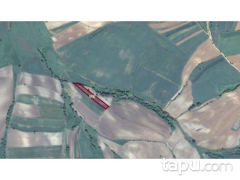 Tekirdağ Süleymanpaşa İnecik Mahallesinde 5.800 m2 Tarla