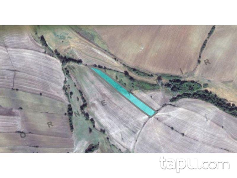 Tekirdağ Süleymanpaşa İnecik Mahallesinde 5.800 m2 Tarla