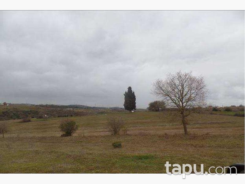 Kocaeli Gebze Mollafenari Köyünde 2.039 m2 Tarla