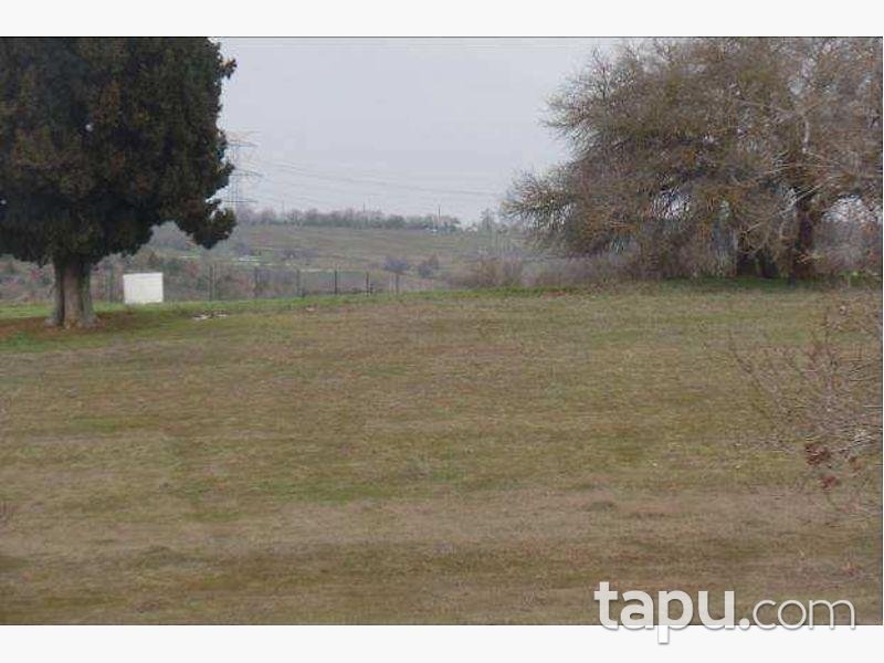 Kocaeli Gebze Mollafenari Köyünde 2.039 m2 Tarla