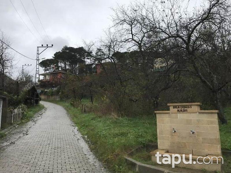 İstanbul Şile Gökmaslı Mahallesinde İki Katlı Kargir Ev