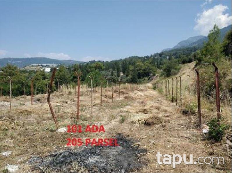 Antalya Kumluca İncircik Köyünde 13554 m2 Tarla