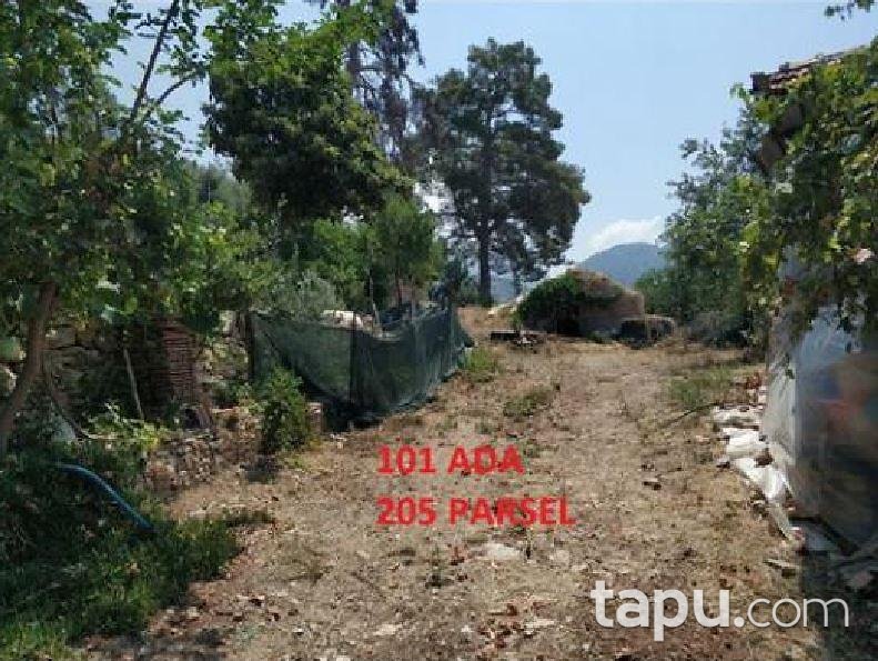 Antalya Kumluca İncircik Köyünde 13554 m2 Tarla