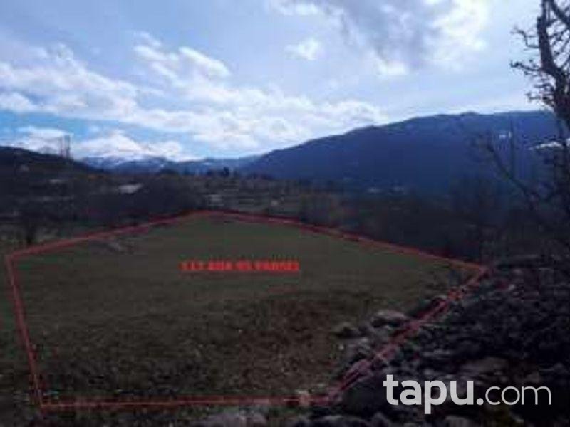 Artvin Ardanuç Çakıllar Köyünde 3.096 m2 Tarla