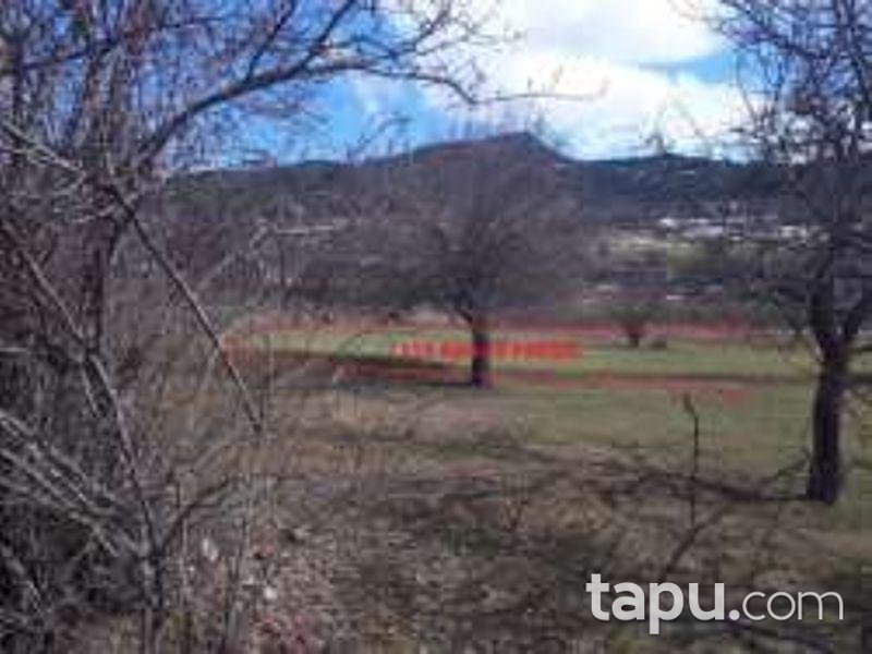 Artvin Ardanuç Çakıllar Köyünde 3.096 m2 Tarla