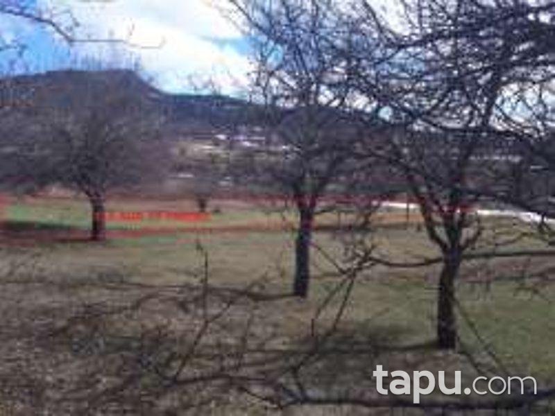 Artvin Ardanuç Çakıllar Köyünde 3.096 m2 Tarla