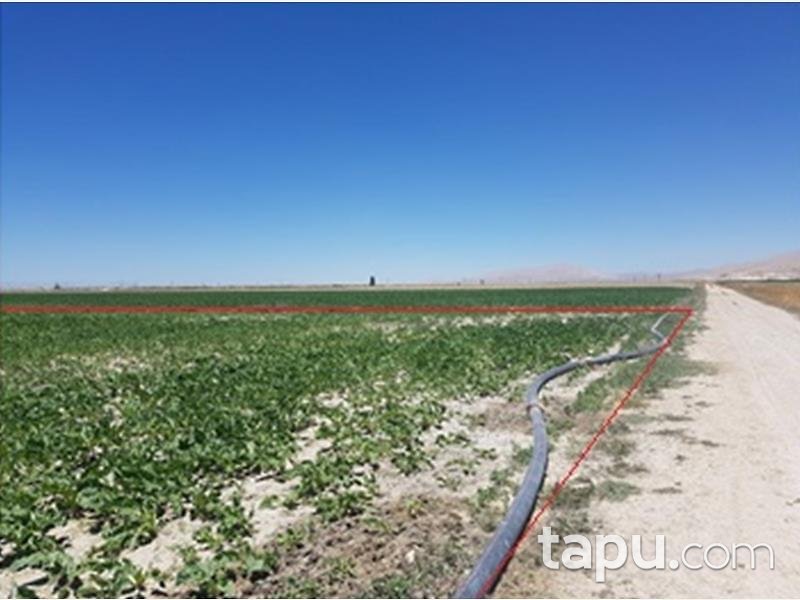 Konya Karatay İsmil Köyünde 20 Dönüm Tarla