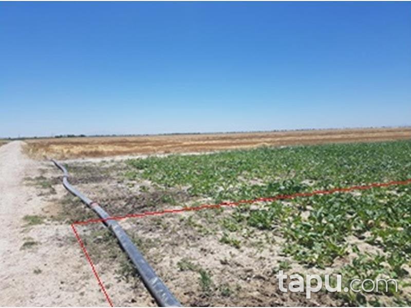 Konya Karatay İsmil Köyünde 20 Dönüm Tarla