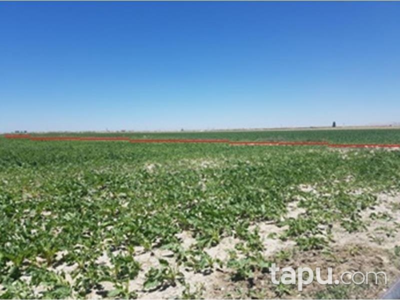 Konya Karatay İsmil Köyünde 20 Dönüm Tarla