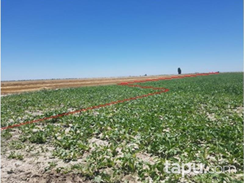 Konya Karatay İsmil Köyünde 20 Dönüm Tarla