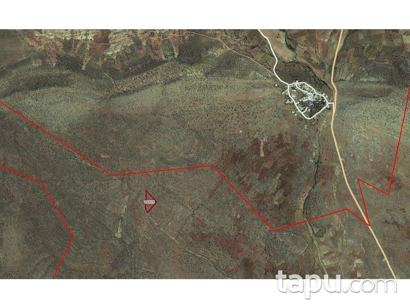 Mardin Dargeçit Alayurt'ta 5.901 m2 Tarla