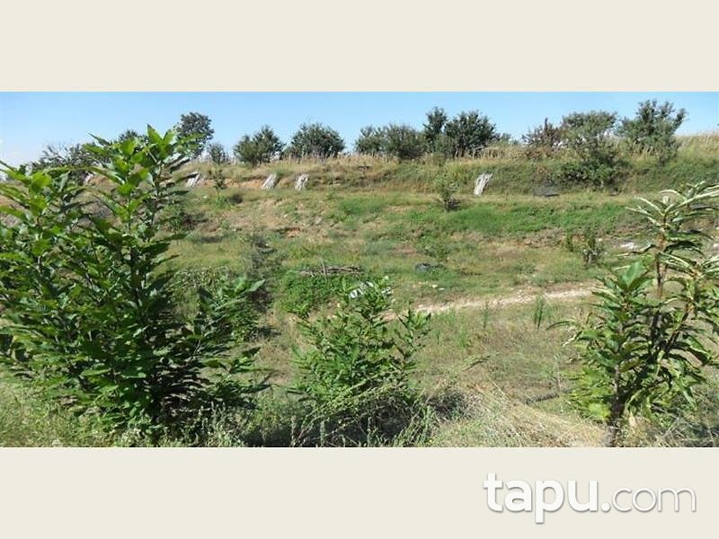 İzmir Ödemiş Bıçakçı Mahallesinde Kargir Ev ve 14 Dönüm Bahçesi