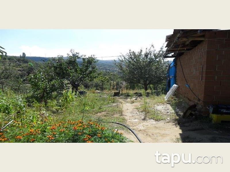 İzmir Ödemiş Bıçakçı Mahallesinde Kargir Ev ve 14 Dönüm Bahçesi