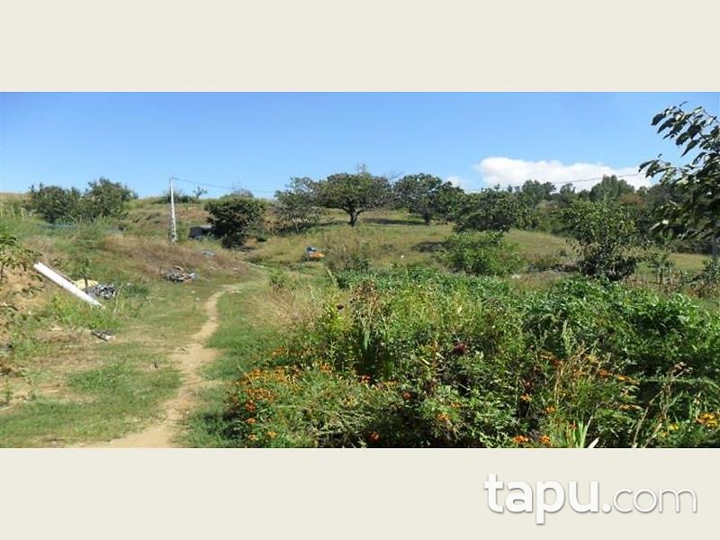 İzmir Ödemiş Bıçakçı Mahallesinde Kargir Ev ve 14 Dönüm Bahçesi