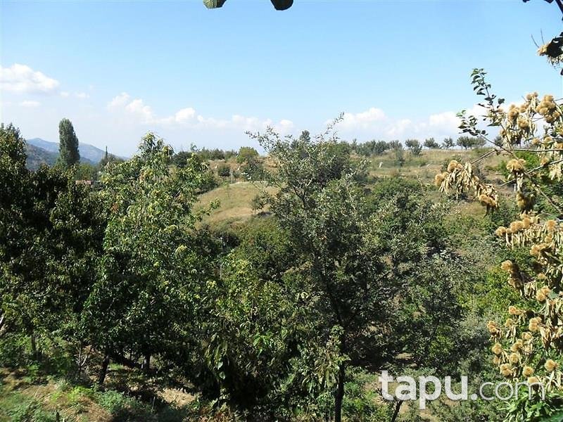 İzmir Ödemiş Bıçakçı Mahallesinde Kargir Ev ve 14 Dönüm Bahçesi