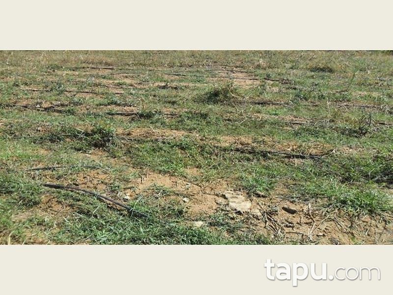 İzmir Ödemiş Bıçakçı Mahallesinde Kargir Ev ve 14 Dönüm Bahçesi