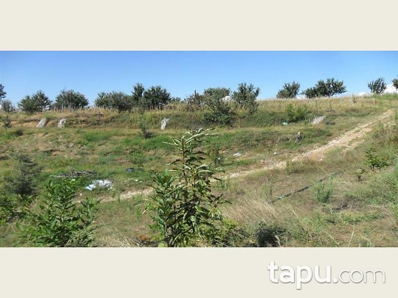 İzmir Ödemiş Bıçakçı Mahallesinde Kargir Ev ve 14 Dönüm Bahçesi