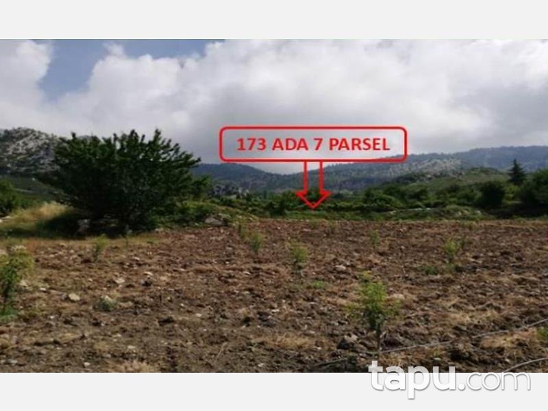 Mersin Mezitli Tepeköy Mahallesinde 6.295 m2 250 Ağaçlı Şeftali Bahçesi