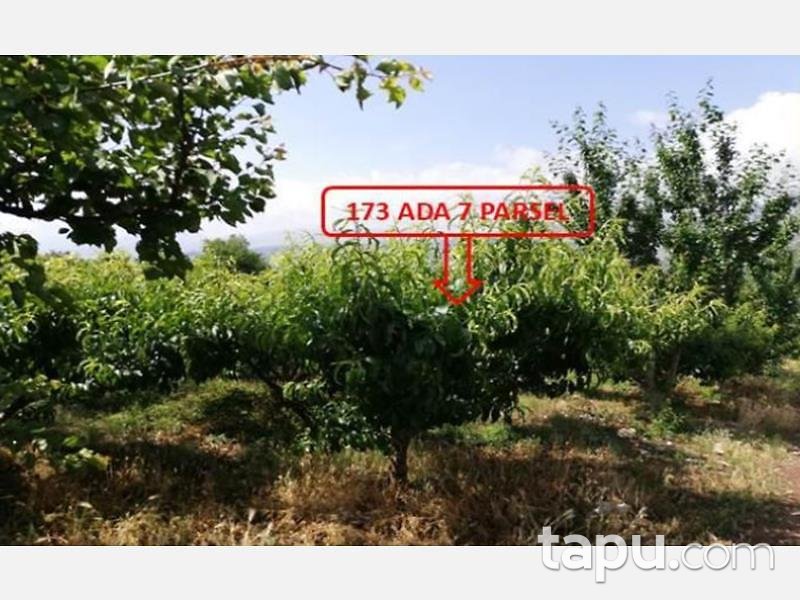 Mersin Mezitli Tepeköy Mahallesinde 6.295 m2 250 Ağaçlı Şeftali Bahçesi