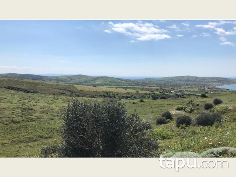 Balıkesir Erdek Paşalimanı Adasında 295.607 m2 Arsa