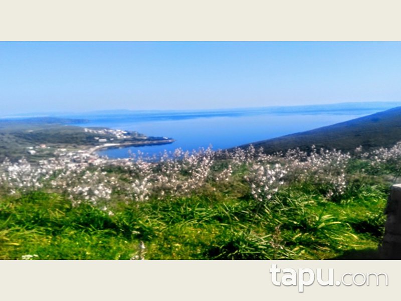 Balıkesir Erdek Paşalimanı Adasında 295.607 m2 Arsa