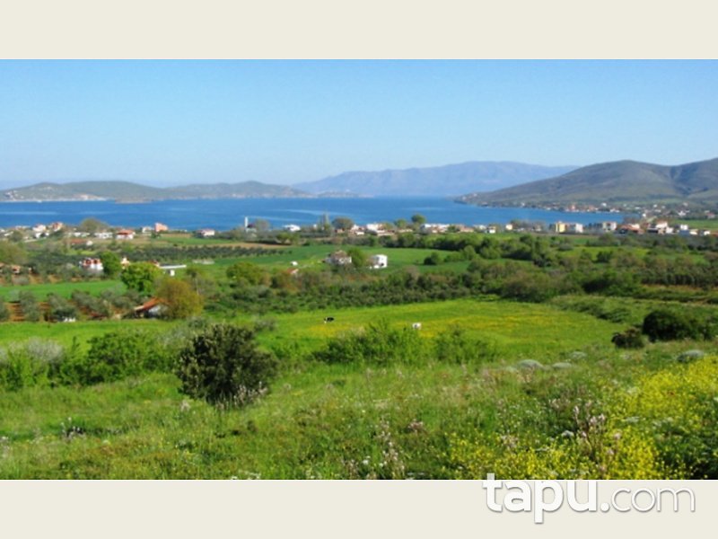 Balıkesir Erdek Paşalimanı Adasında 295.607 m2 Arsa