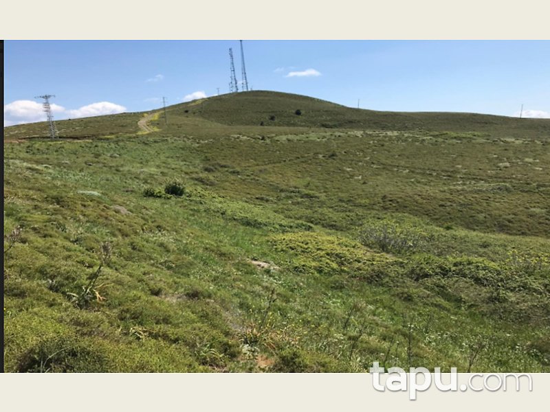 Balıkesir Erdek Paşalimanı Adasında 295.607 m2 Arsa