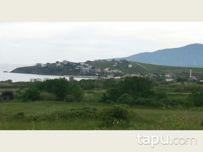 Balıkesir Erdek Paşalimanı Adasında 295.607 m2 Arsa