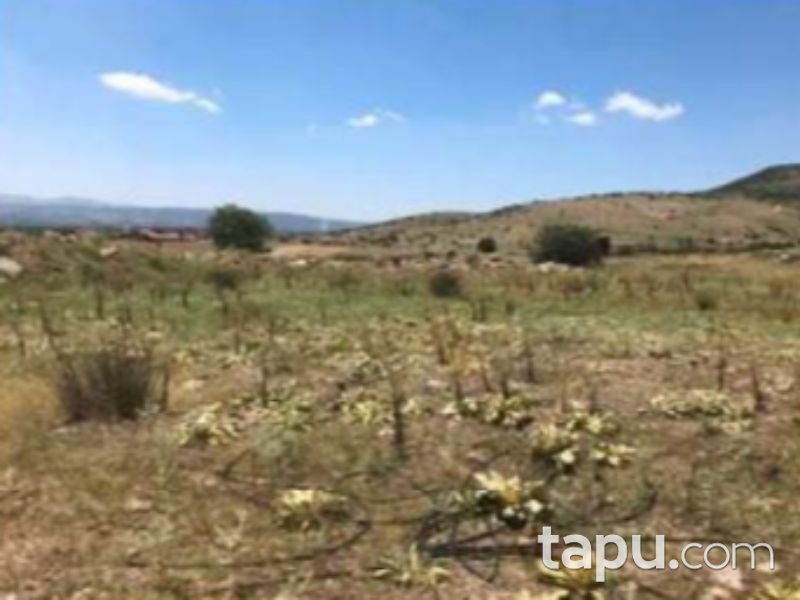 Uşak Eşme Cumhuriyet Mahallesinde 580 m2 Konut İmarlı Arsa