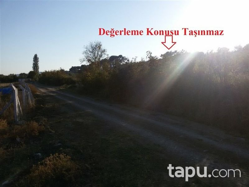İzmir Bergama İlçesi Kırcalar Mahallesinde 6744 m2 Zeytinlik
