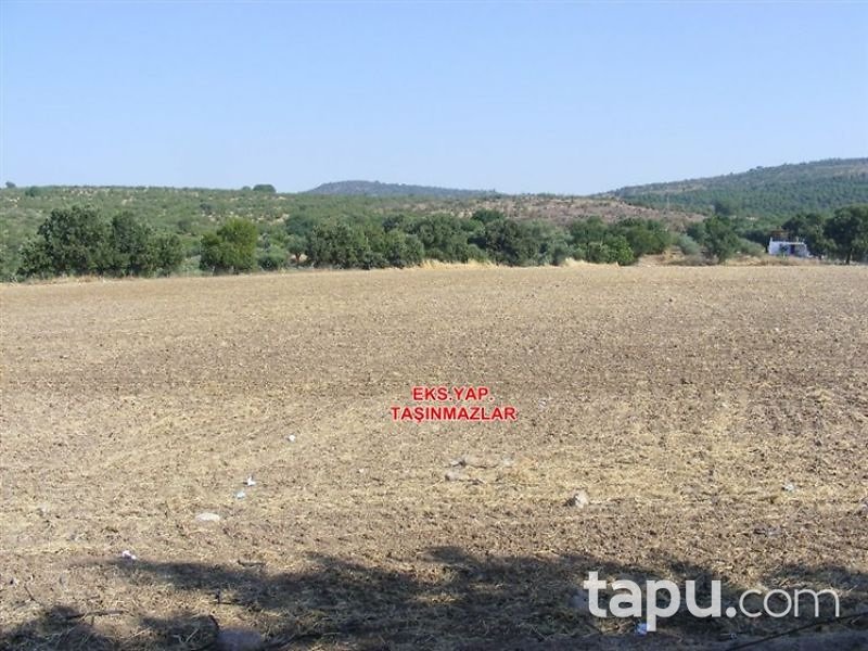 Manisa Yunusemre Üçpınar Mahallesinde 290 m2 İmarlı Arsa