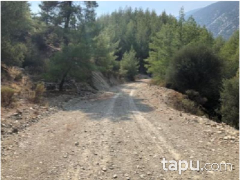 Antalya Finike Arif Köyünde 23891 m2 Tarla