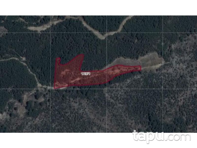 Antalya Finike Arif Köyünde 23891 m2 Tarla