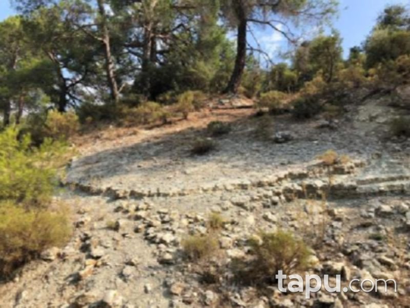 Antalya Finike Arif Köyünde 23891 m2 Tarla