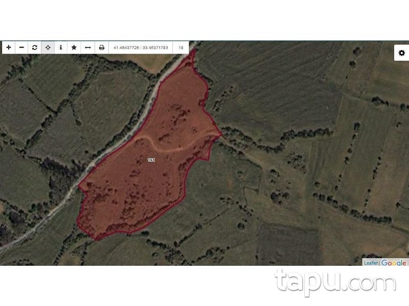 Kastamonu Daday Tüfekçi Köyünde 1199 m2 Hisseli Tarla