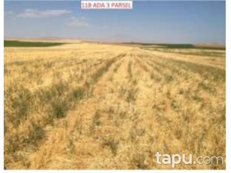 Bitlis Ahlat Taşharman Köyünde 53 Dönüm Arsa