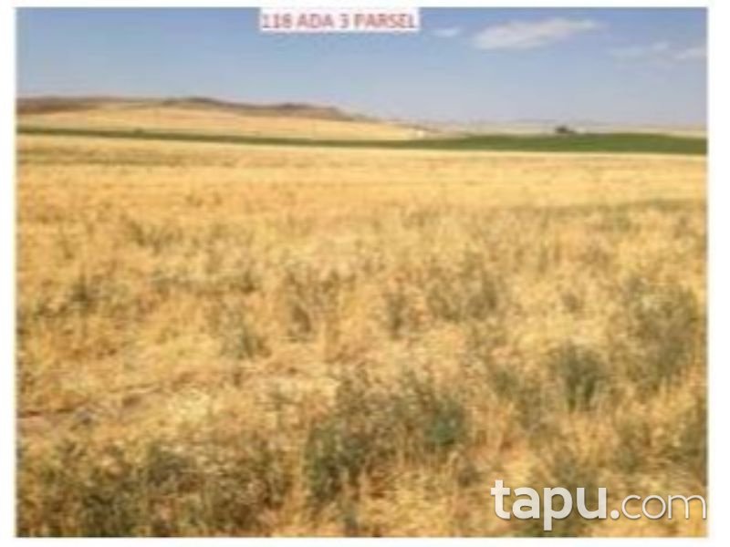 Bitlis Ahlat Taşharman Köyünde 53 Dönüm Arsa