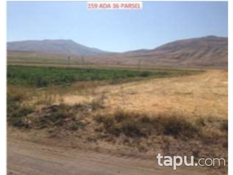 Bitlis Ahlat Taşharman Mahallesinde 7 Dönüm m2 Tarla